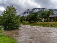 Uferbäume von tosender Prien umspült